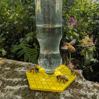 Abreuvoir à abeilles pour bouteille d'eau et soda modèle "L'Alvéo" La Buse Qui File