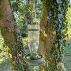 Abreuvoir à oiseaux pour bouteille en verre de jus 1L T048 modèle "L'Atoll" La Buse Qui File