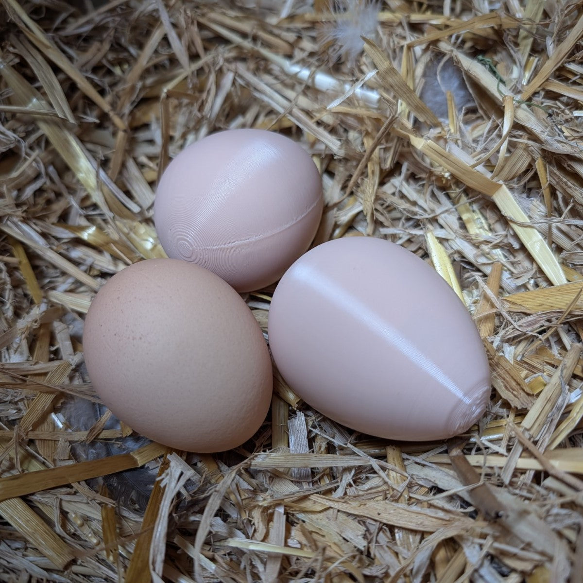 Dummy nest egg - to encourage your hens to lay