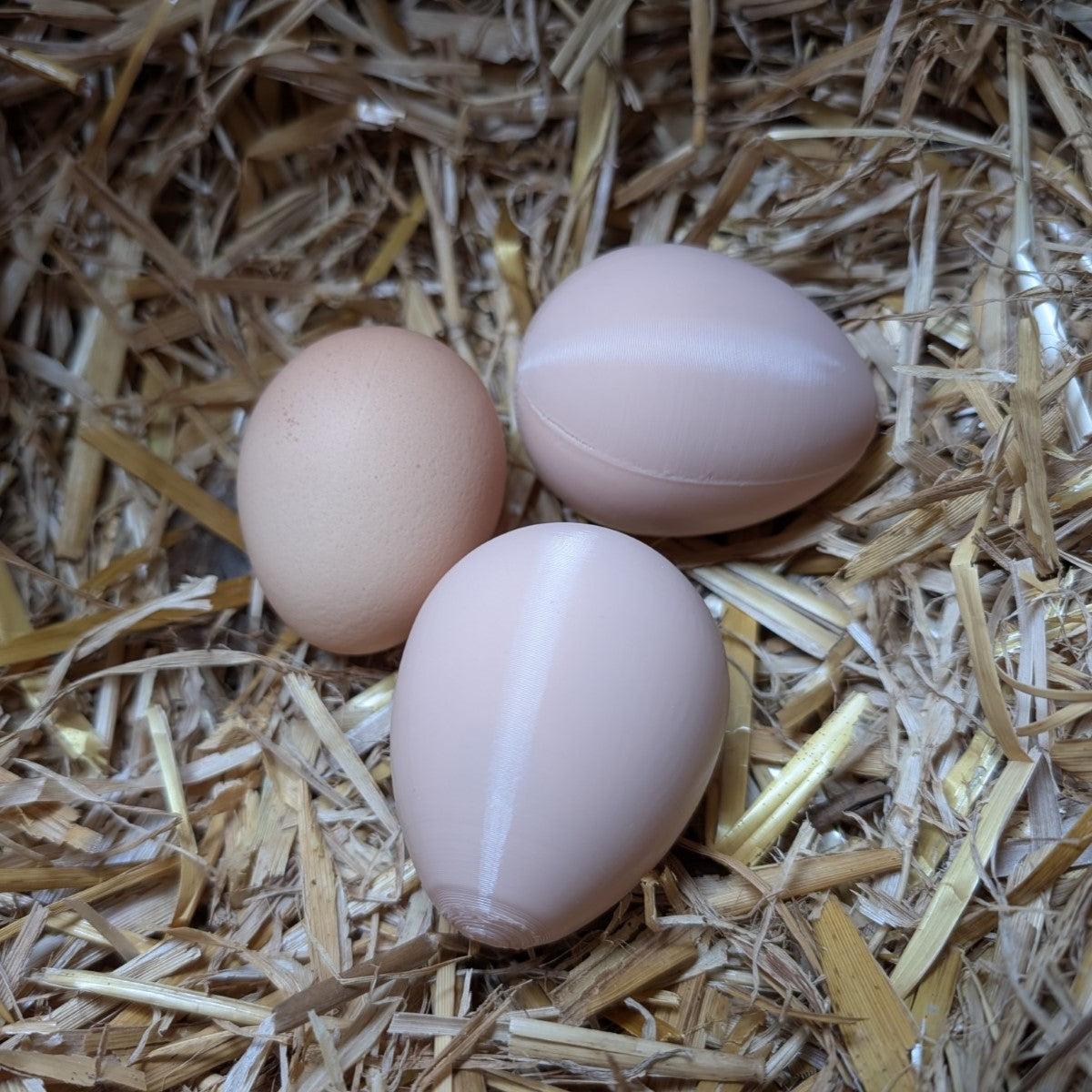 Dummy nest egg - to encourage your hens to lay