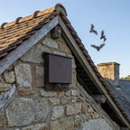 High-Resistance Outdoor Bat Box & Shelter “L’Écho”
