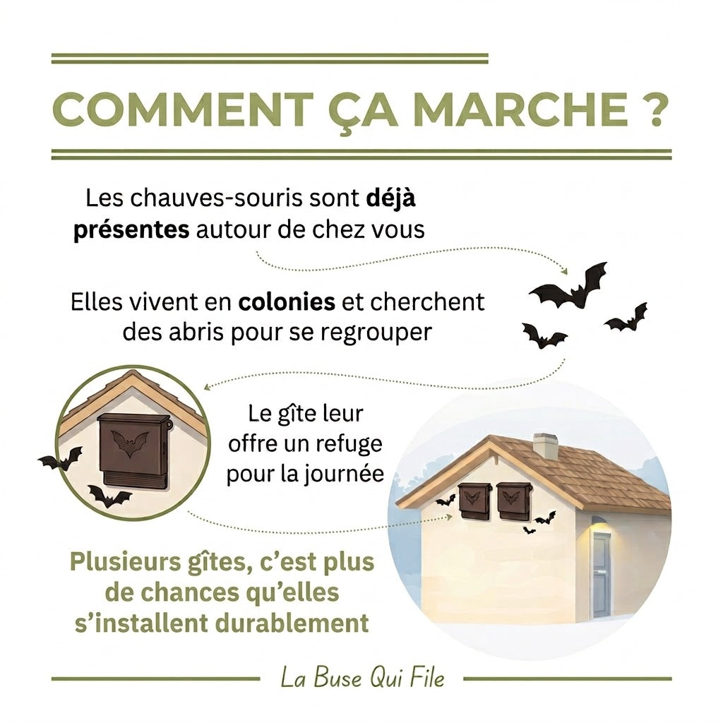 High-Resistance Outdoor Bat Box & Shelter “L’Écho”