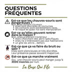 High-Resistance Outdoor Bat Box & Shelter “L’Écho”