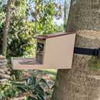Squirrel feeder with seed reservoir - "La Canopée"