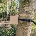 Squirrel feeder with seed reservoir - "La Canopée"