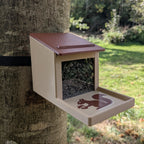 Squirrel feeder with seed reservoir - "La Canopée"