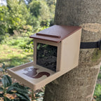 Squirrel feeder with seed reservoir - "La Canopée"