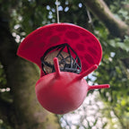 "The Mushroom" hanging fat ball bird feeder, two-tone