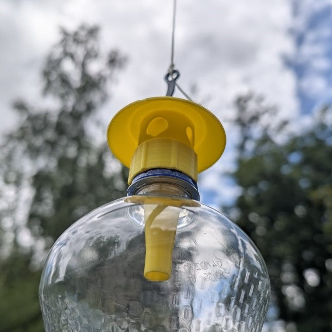 Pièges à frelons asiatique pour bouteille plastique d'eau ou soda modèle "Le Dôme" La Buse Qui File