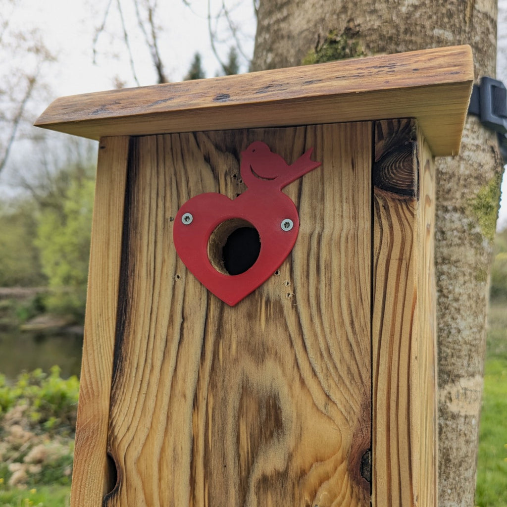 Plaque décorative de protection de trous d'envol pour nichoirs - protection anti prédateurs modèle "Le Cœur Oiseau" La Buse Qui File