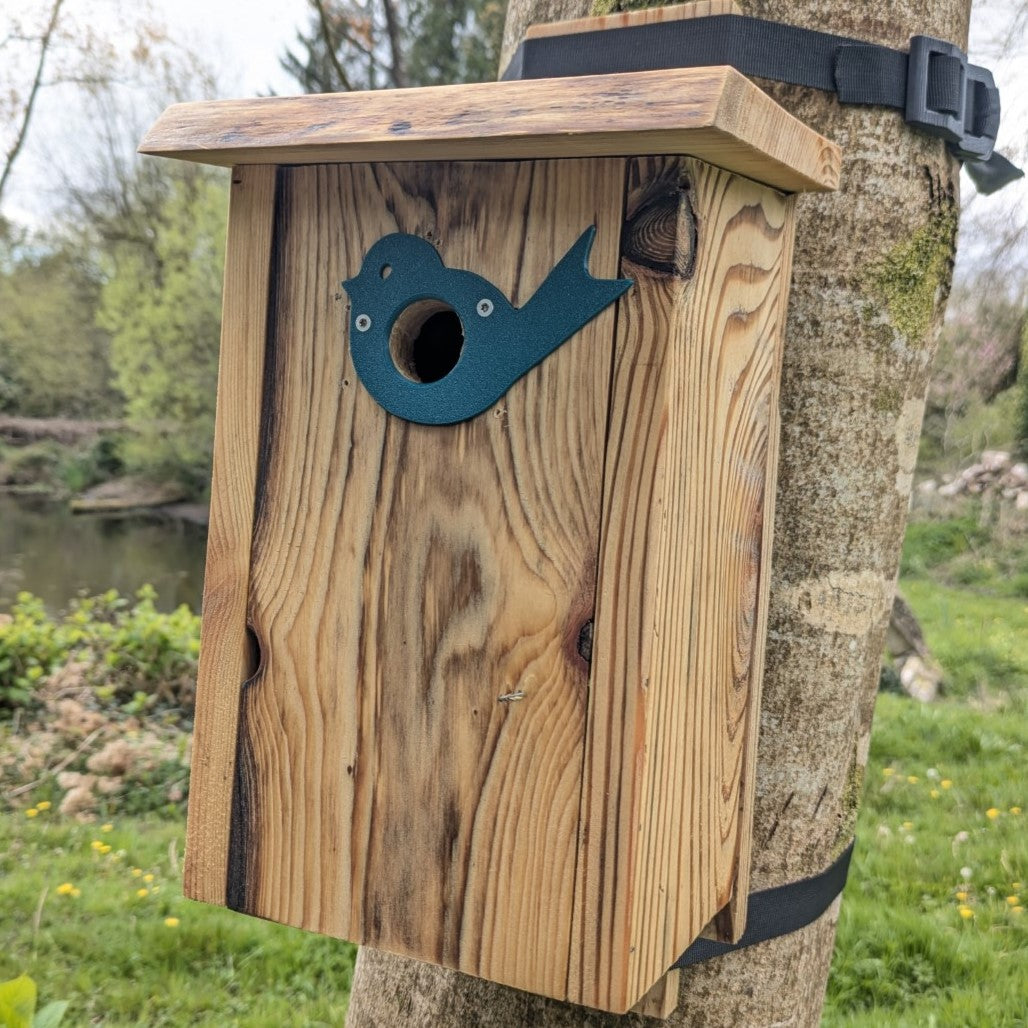Plaque décorative de protection de trous d'envol pour nichoirs - protection anti prédateurs modèle "L'Oiseau" La Buse Qui File