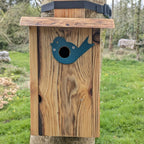 Plaque décorative de protection de trous d'envol pour nichoirs - protection anti prédateurs modèle "L'Oiseau" La Buse Qui File