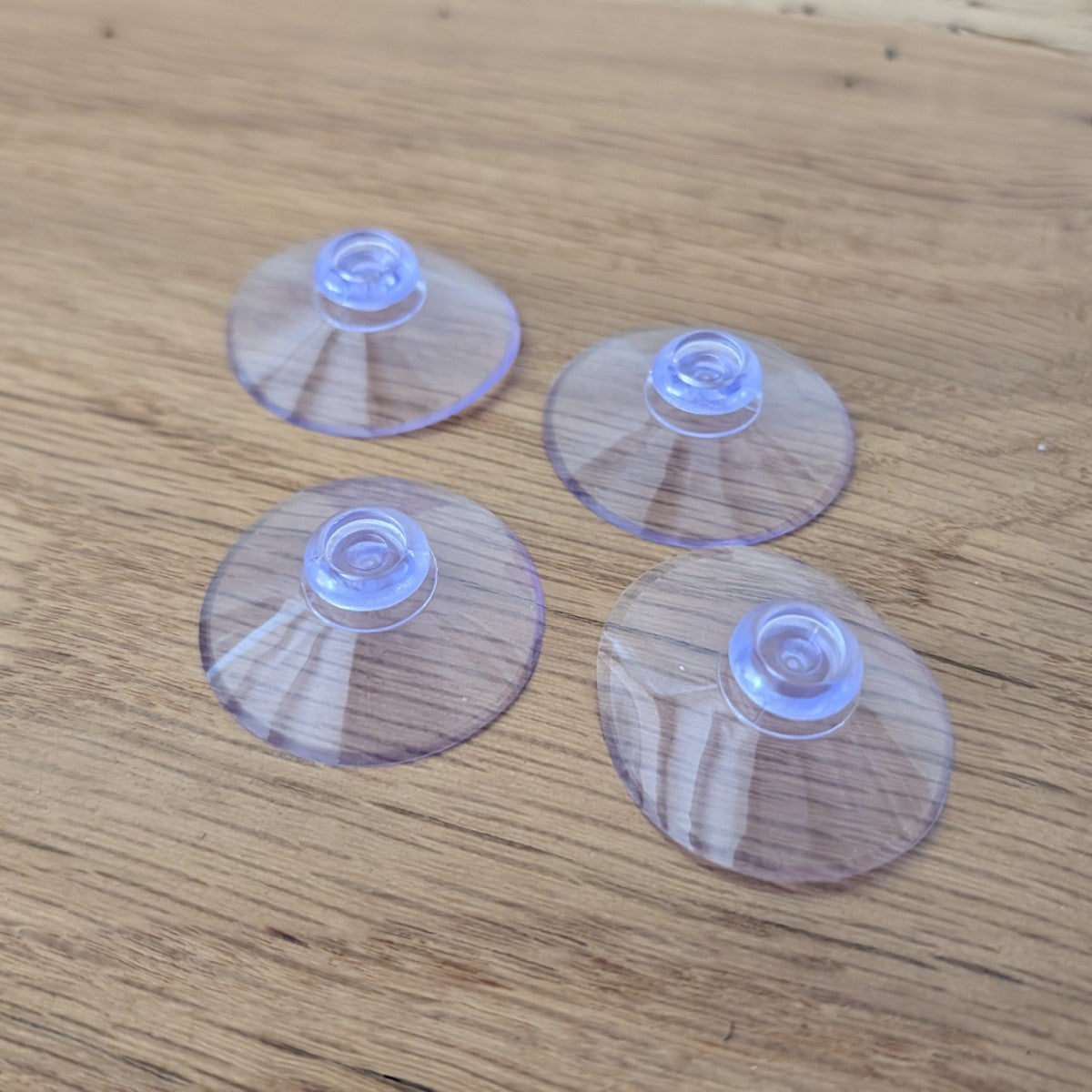 Lot de ventouses Ø4cm pour mangeoire de fenêtre - vitre La Buse Qui File