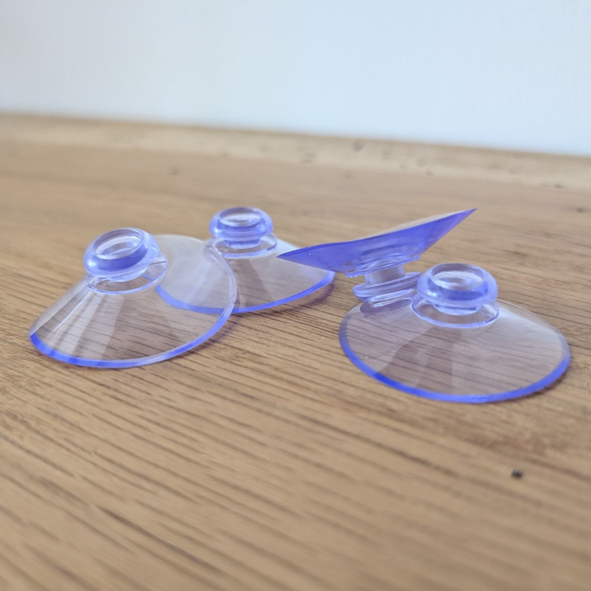 Lot de ventouses Ø4cm pour mangeoire de fenêtre - vitre La Buse Qui File